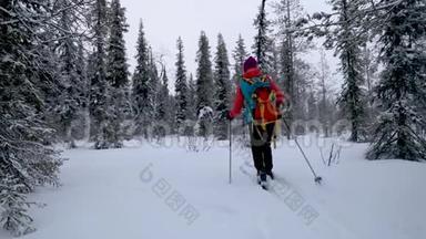 滑雪巡回赛-在白雪皑皑的冬林里带着滑雪板的女人。 芬兰